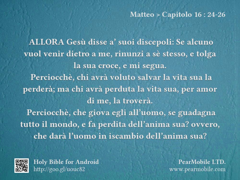 Matteo, Capitolo 16:24-26